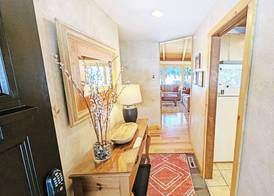 Pine Needle 2 3