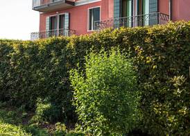 La Casa di Linda 4