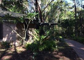 Byron Bay Rainforest Resort 3
