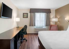 Econo Lodge Inn & Suites Springfield Main Street 5