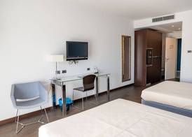 Hotel Napoleon 3