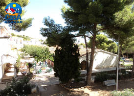 Apartamentos Arcos II Casa Azahar 2