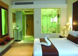 Mirage Hotel, Mumbai International Airport 5