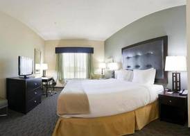Holiday Inn Express & Suites WAYCROSS by IHG 4