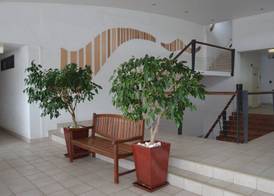 Saltwater Luxury Apartments 3