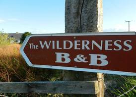 The Wilderness 3