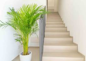 Nuova -Luxury Rooms & Apartment- 2