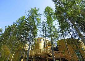 Naturhotel Waldklause 2