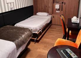 Logis Hôtel Ettenheim 3