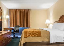 Comfort Inn Binghamton I-81 5