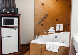 Quality Inn & Suites Las Cruces - University Area 5