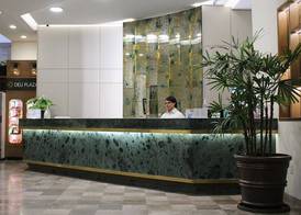 Hotel Guadalajara Plaza Ejecutivo 3