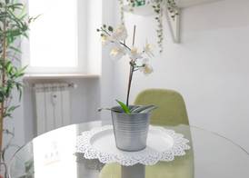 247 Luxury Rooms Trastevere 4