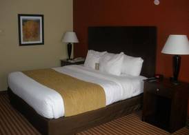 Comfort Inn & Suites 5