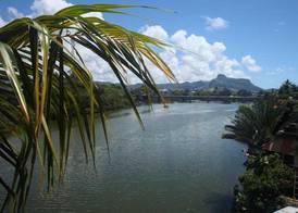 Le Bamboo Guesthouse 5