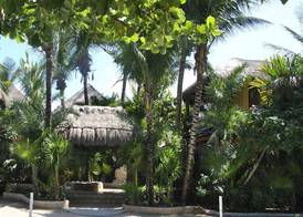 HOTEL CALALUNA TULUM - ADULTS ONLY 5