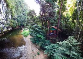 Our Jungle House 3