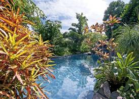 Manoa Valley Inn 5