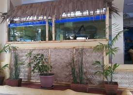 Treasure Island Resort 2