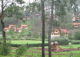 Bosque Escondido 3