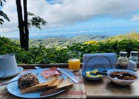 Hotel Flor de Bromelia 4