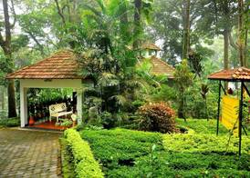 The Tall Trees Munnar 2