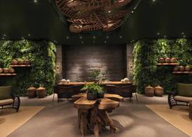The Ritz-Carlton Ras Al Khaimah, Al Wadi Desert 3