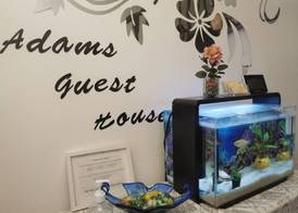 Adams Guest House 3