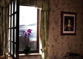 Highland Bear Lodge & Woodland Bear Huts 3