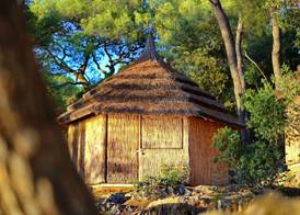 Pine Beach Bungalows all inclusive 4