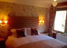 Highland Bear Lodge & Woodland Bear Huts 2