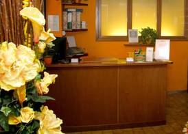 Albergo Hotel Giardino 4
