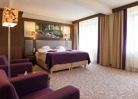 Hotel Mercure Krynica Zdrój Resort&Spa 3