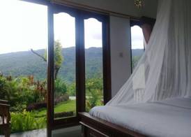Aris Homestay and Warung Made 5