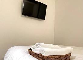 HOTEL NEXUS Hakata Sanno 5