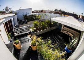 Riad THALGE 2