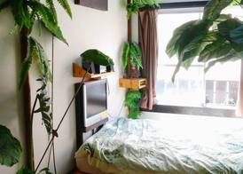 Lohas Villa 3