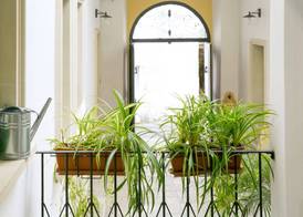 B&B Dimora San Vincenzo 3