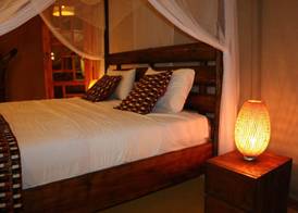Serengeti Safari Lodge 5
