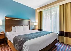 Comfort Suites Fairview Heights - St. Louis 3