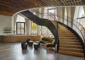 Populus Denver 4