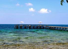 Kura Kura Resort 5