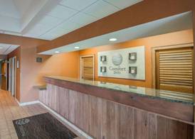 Comfort Inn - NYS Fairgrounds 3