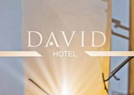 Hotel David an der Donau 2