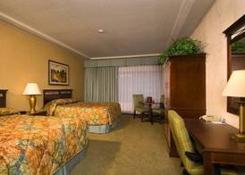 University Square Hotel 5