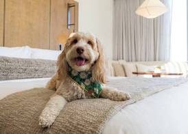 1 Hotel Seattle 5
