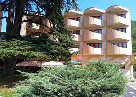 Hotel Le Cedre 3