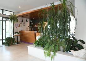 Hotel Lipa 2