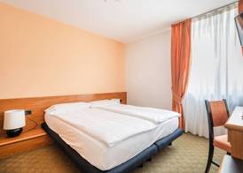 Hotel Alpina 5