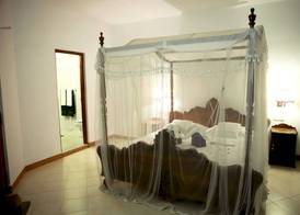 Bougain Villa 2